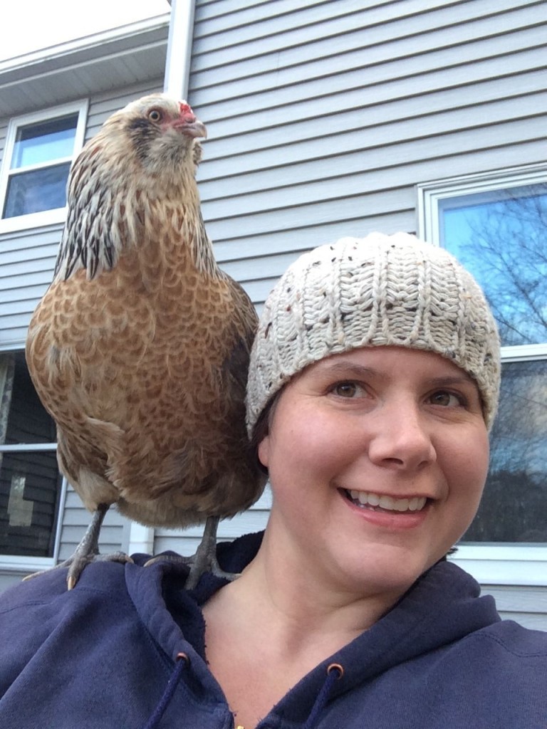 Chicken buddy; Chicken Behavior During Molting... or, Why Have My Chickens Gone Crazy?! Strange and odd behavior during a molt. | Whole-Fed Homestead