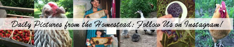 Instagram Collage Whole Fed Homestead