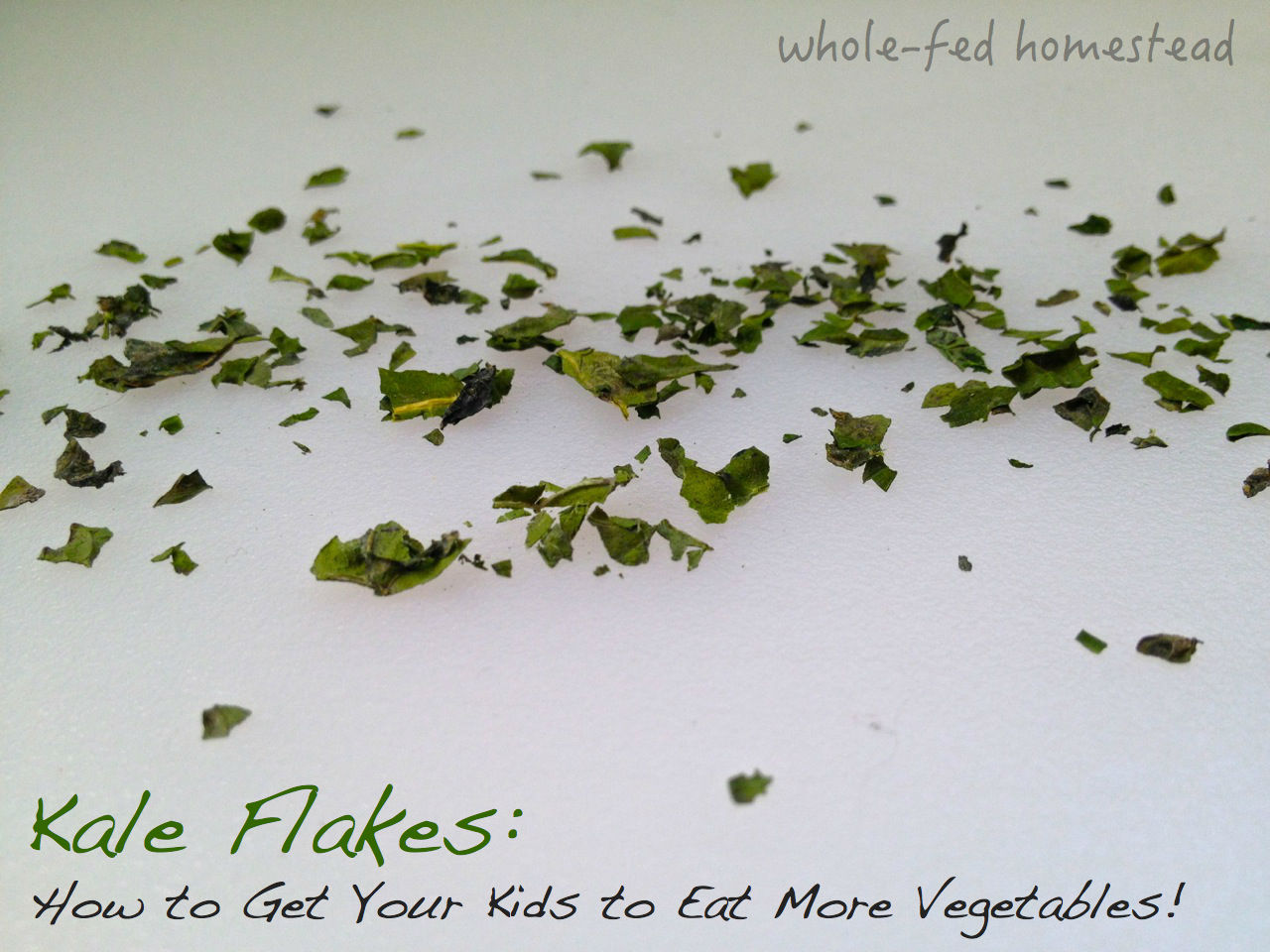 Kale Flakes…or, How to Get Your Kids to Eat More Vegetables using “Green Sprinkles”