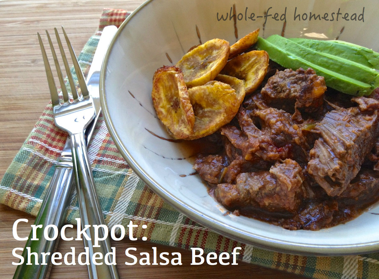 What’s for Dinner: Crockpot Shredded Salsa Beef
