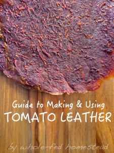 Tomato leather recipes and how to preserve tomatoes