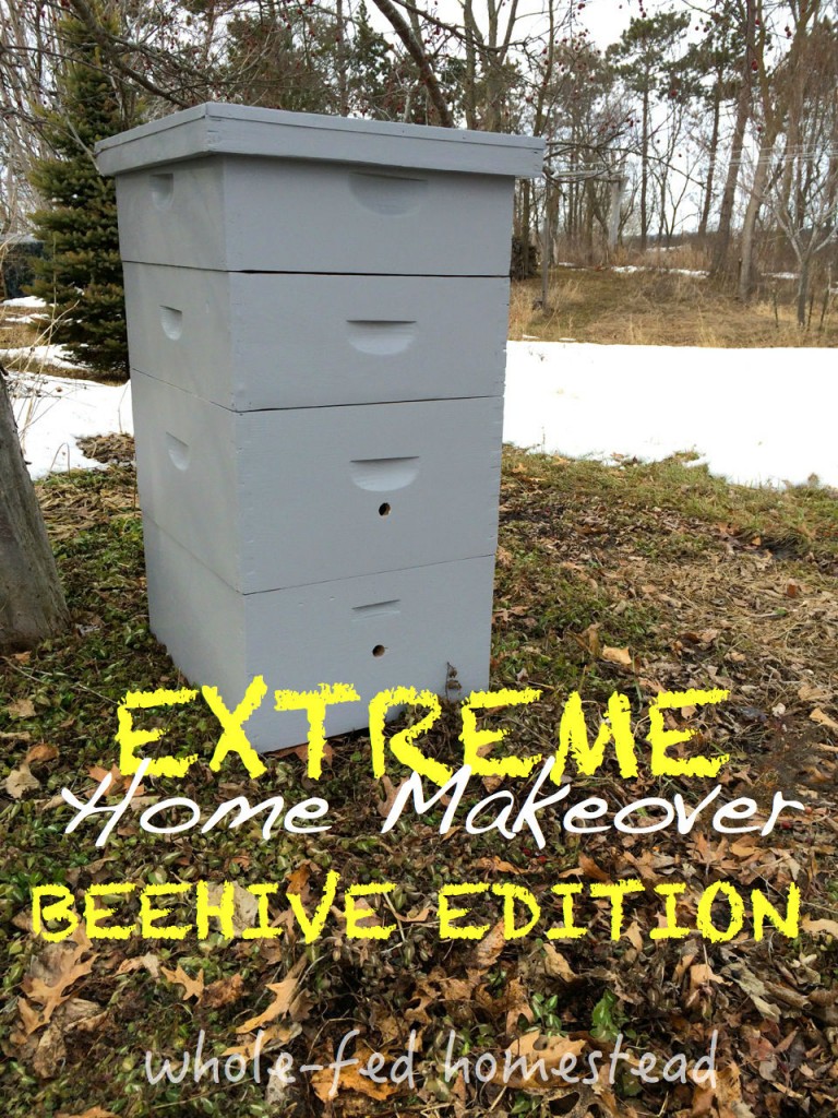 repair paint old beehive
