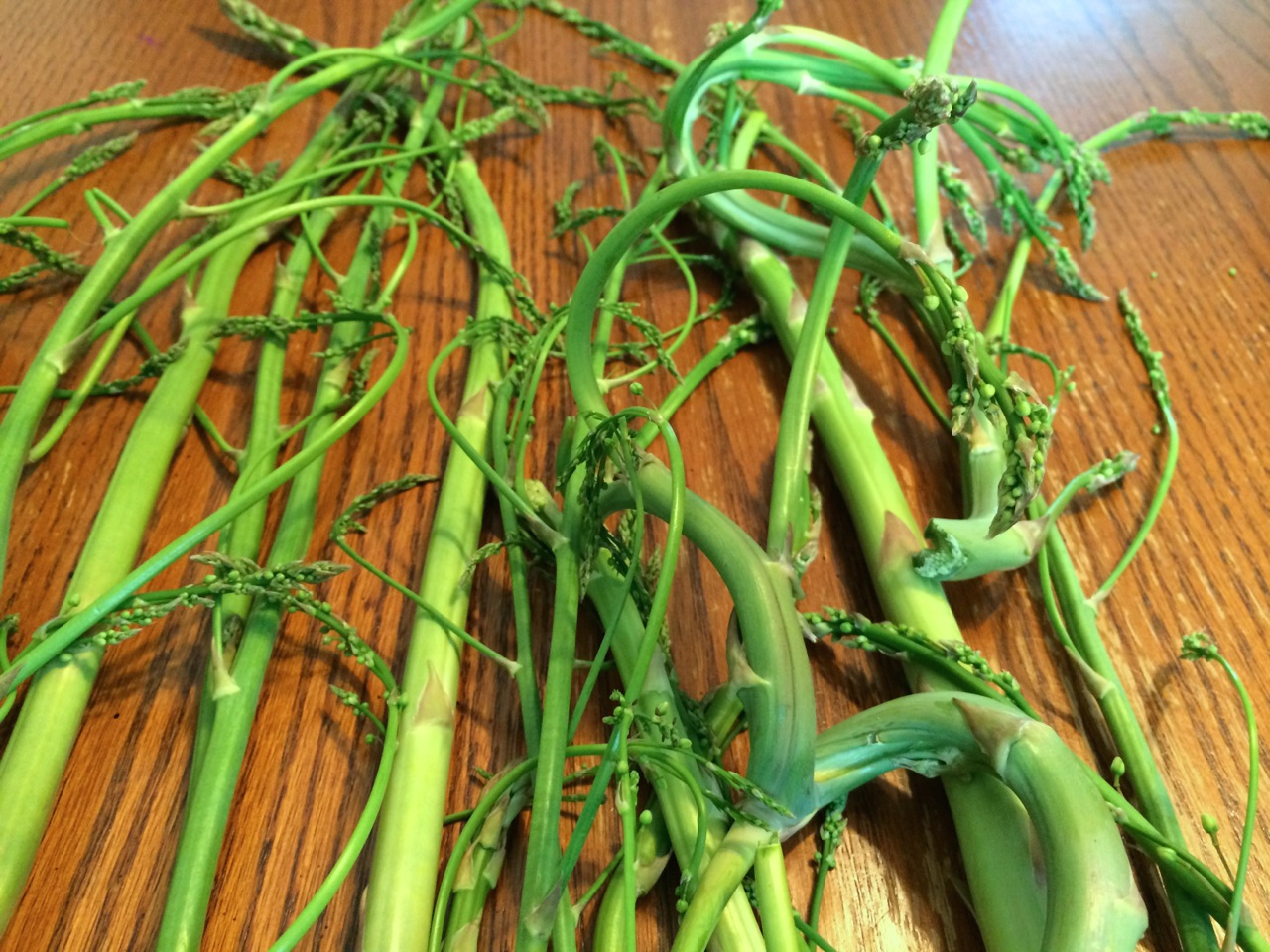 asparagus tall