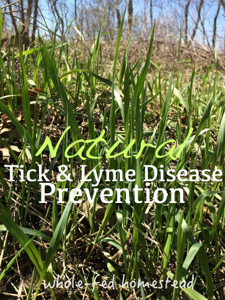 natural lyme disease prevention tick repellent