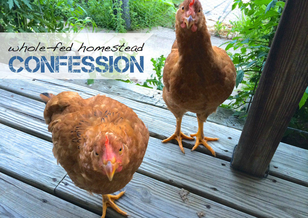 Homestead Confession: We Have Two Chickens Living In Our House