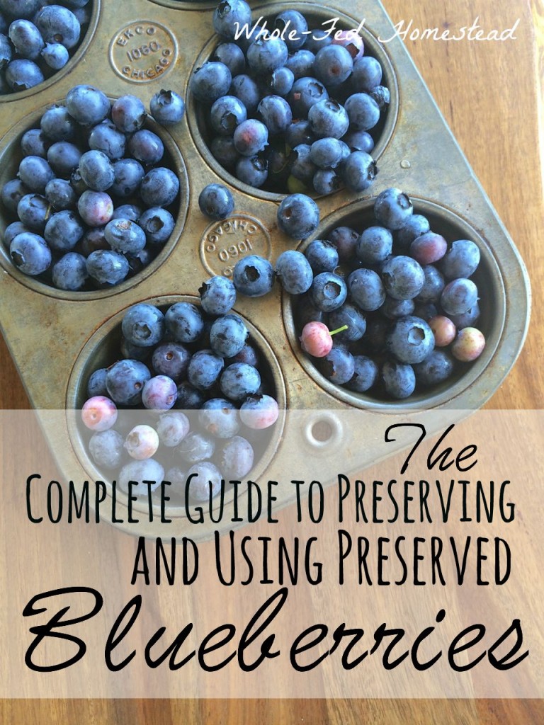 The Complete Guide to Preserving and Using Preserved Blueberries: How to dehydrate, freeze, can, and make jam from blueberries. | Whole-Fed Homestead