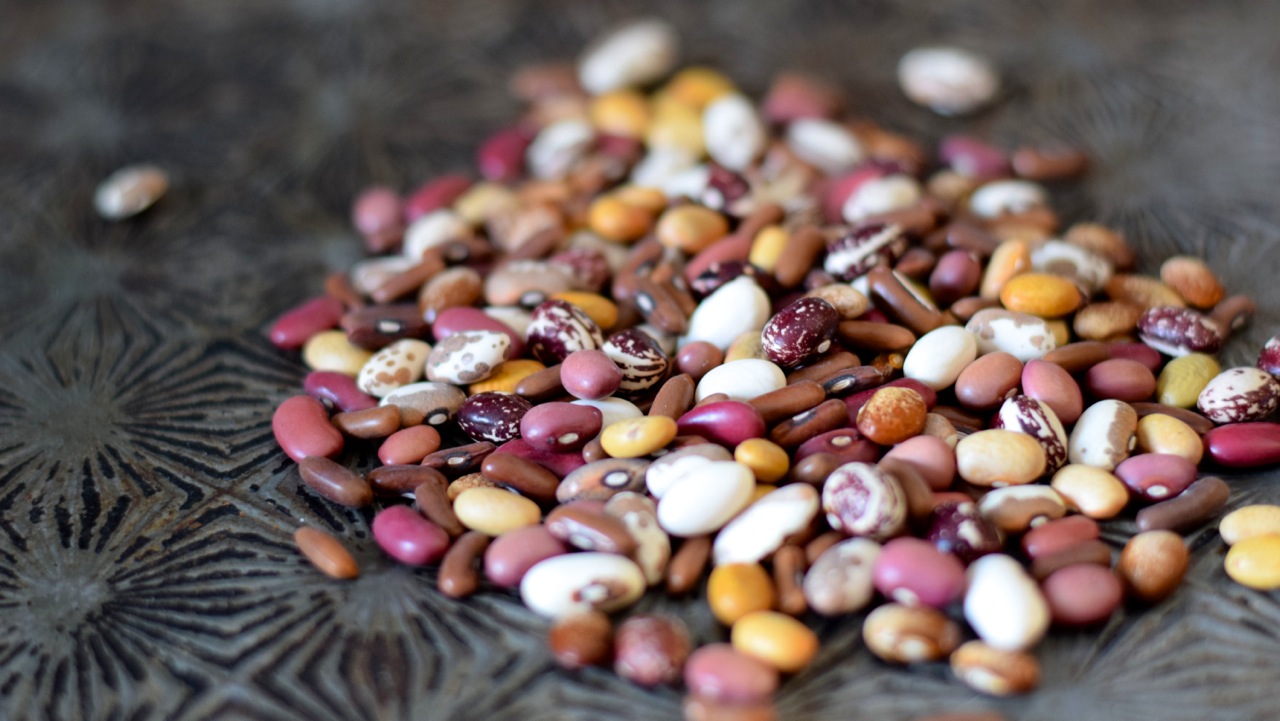 rare heirloom beans, How to Get Started Collecting & Growing Rare and Heirloom Seeds - How to Grow Rare Seeds | Whole-Fed Homestead