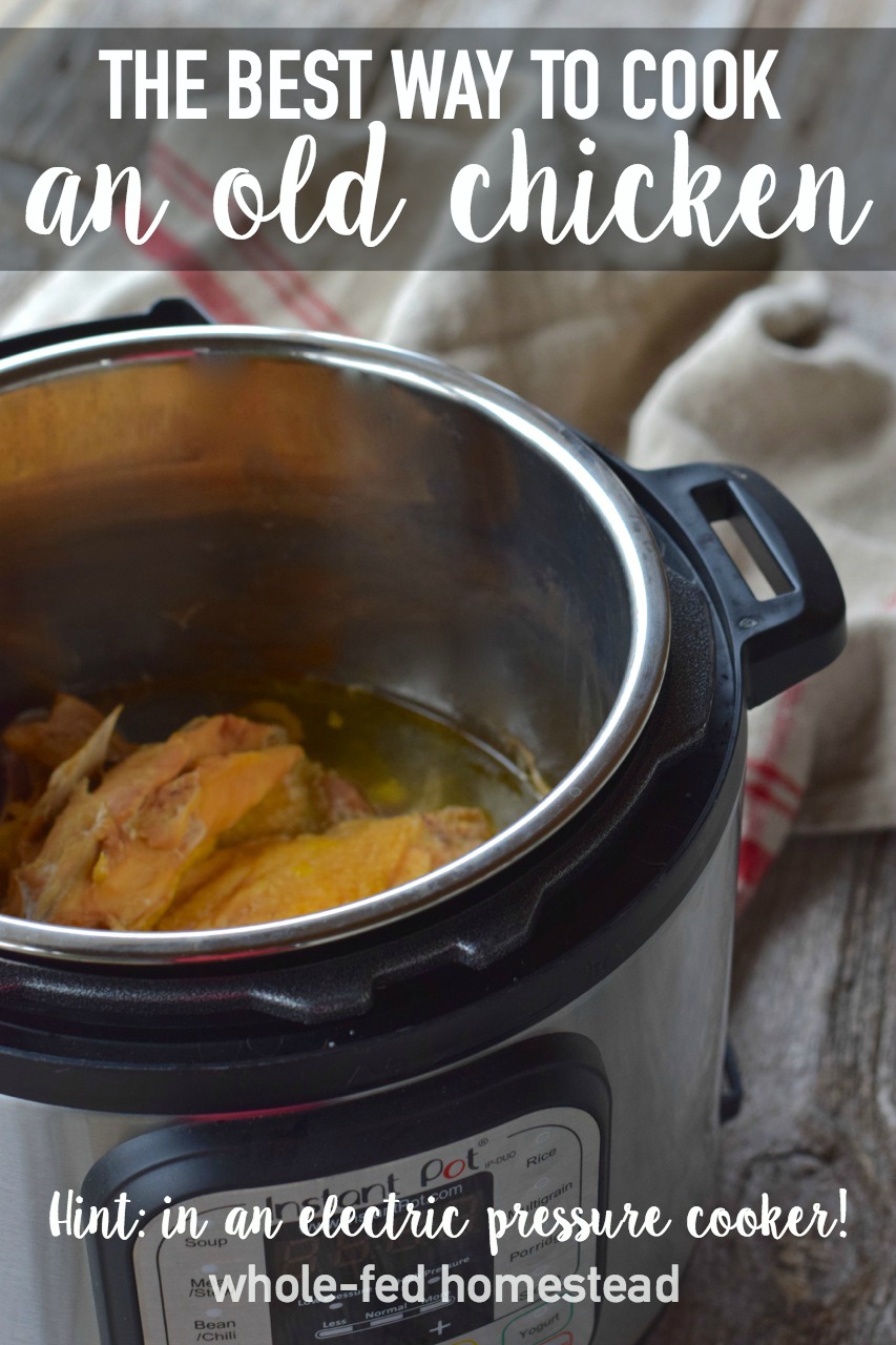 The Best Way to Cook an Old Chicken (Hint: in an electric pressure cooker!)