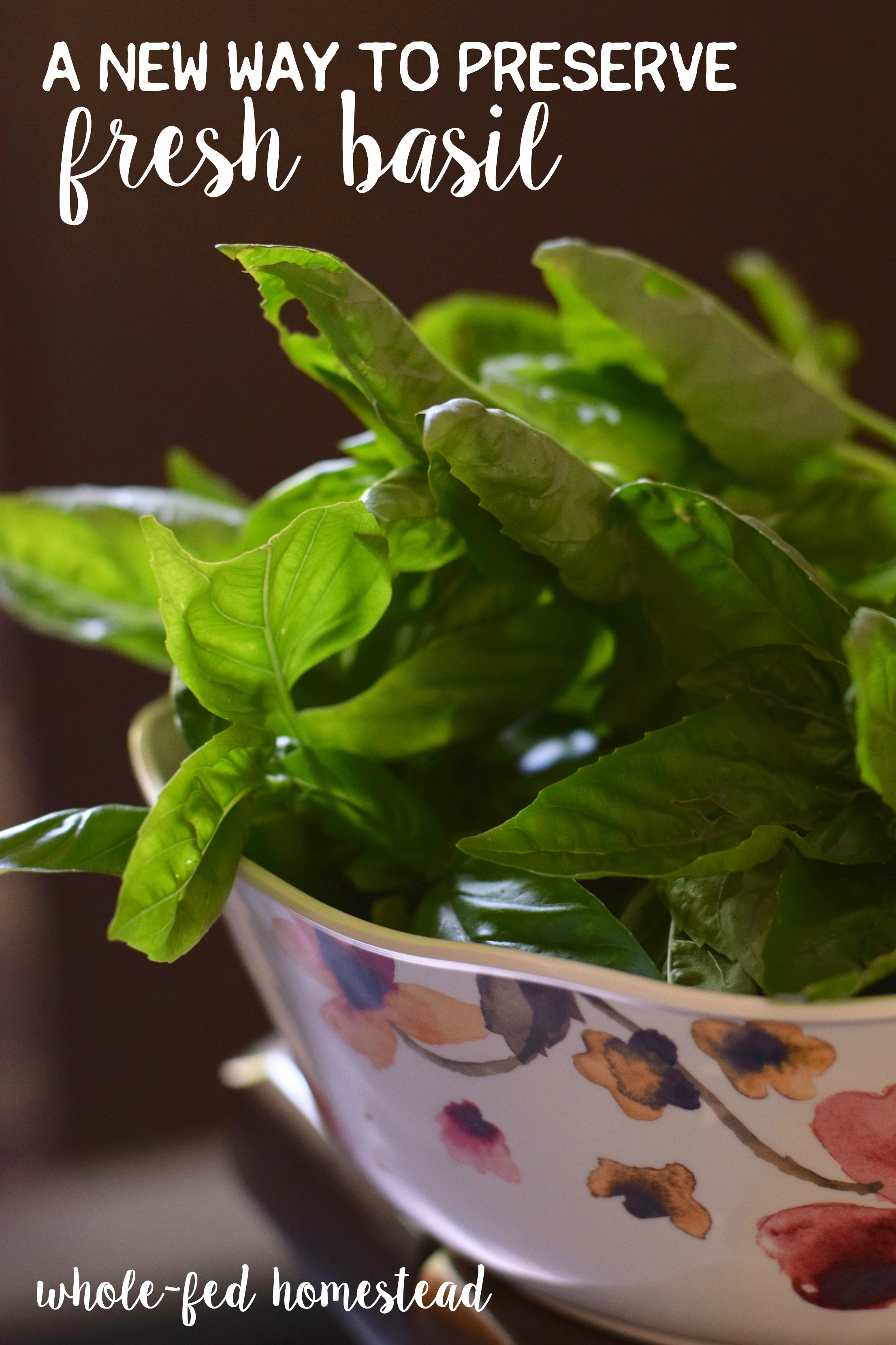 A New Way to Preserve Fresh Basil (freezing method, and NOT in an ice cube tray!) | Whole-Fed Homestead