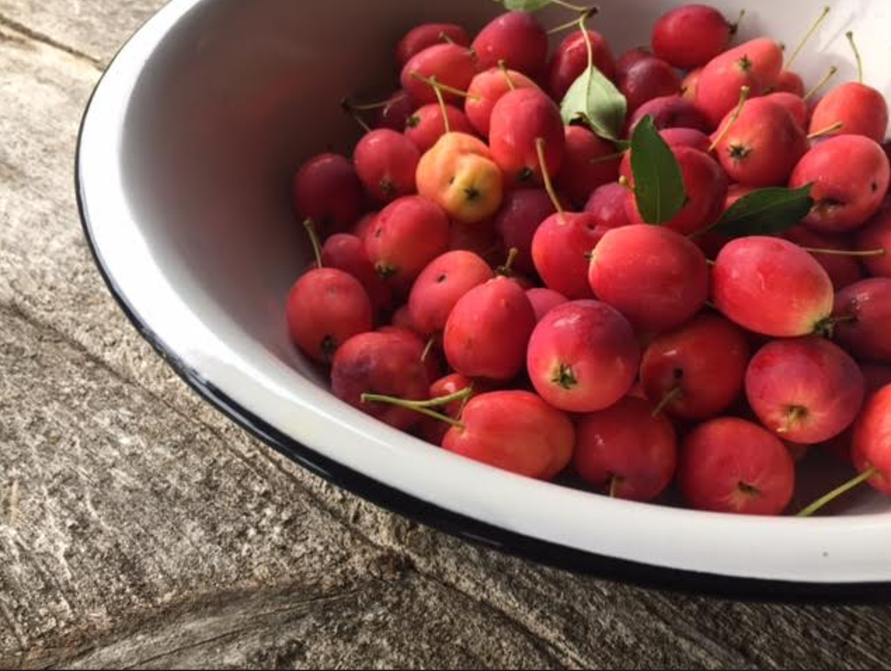 crab apples WholeFed Homestead