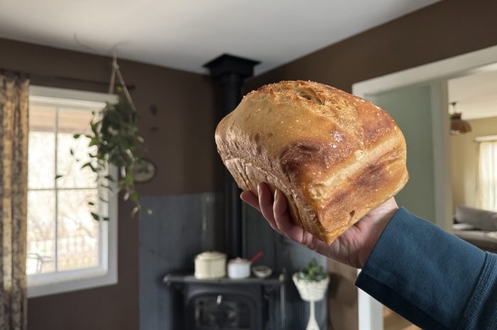 Loaf Pan Sourdough Recipe & Beginner’s Guide to Sourdough + VIDEO