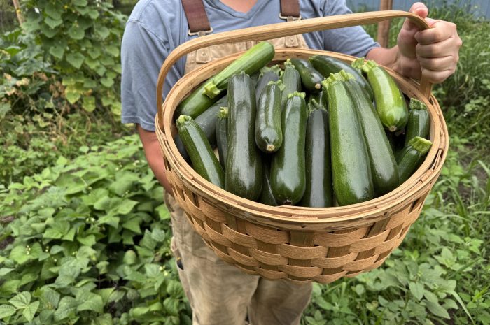 5 Unique Ways to Freeze Zucchini (video & recipes!)